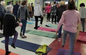 Premiers cours de Clémentine